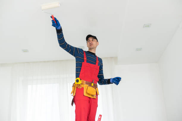 Best Real Estate Mold Inspection  in South Park, WY